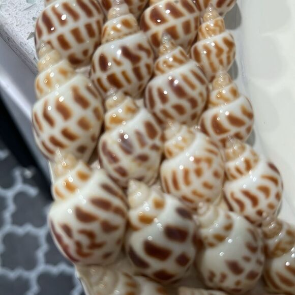 Gorgeous Sea Shell Lazy Susan Elegant Spotted Babylonia Areolata Shells RARE - Picture 3 of 5